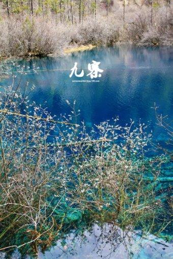 【两会@你】深化区域交流合作 黑龙江提升全方位对外开放水平