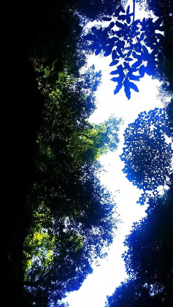 水利部启动Ⅳ级应急响应 开展水利工程震损摸排工作