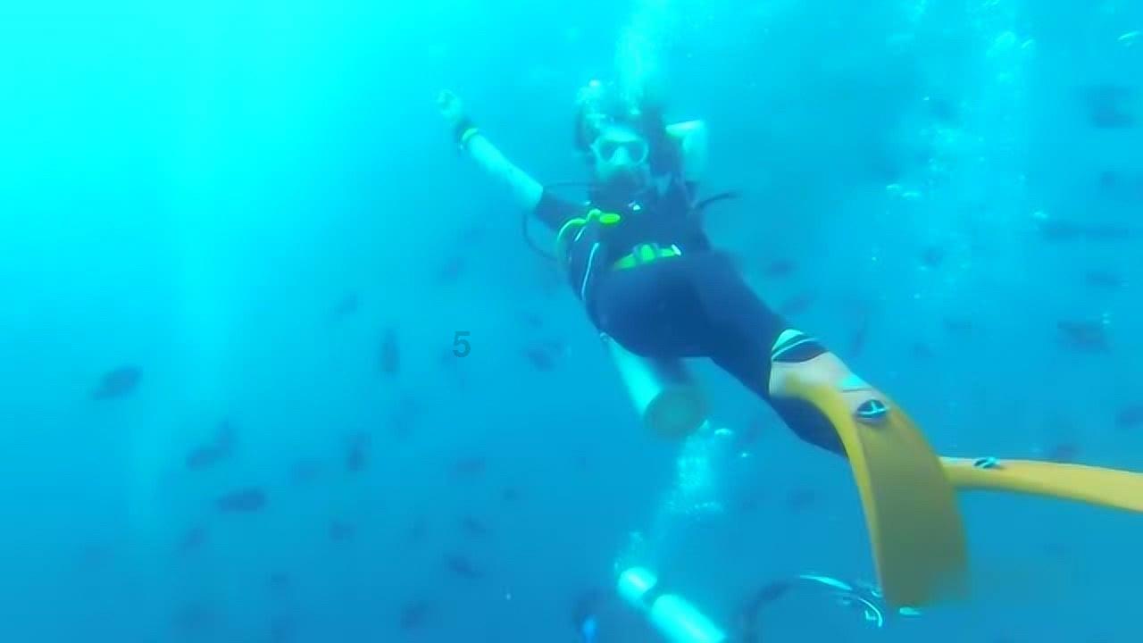 新松机器人未来城项目遭遇“黑天鹅”内幕丨深度