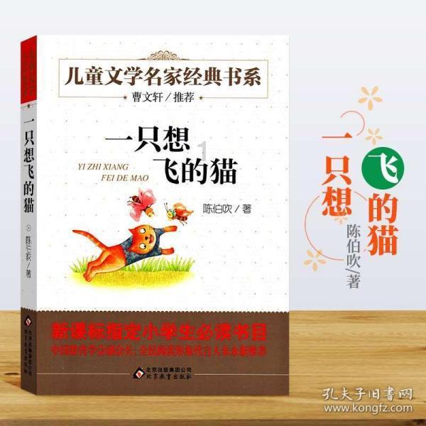 朱雀三号首次大型垂直起降飞行试验成功